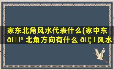 家东北角风水代表什么(家中东 💮 北角方向有什么 🦄 风水讲究)
